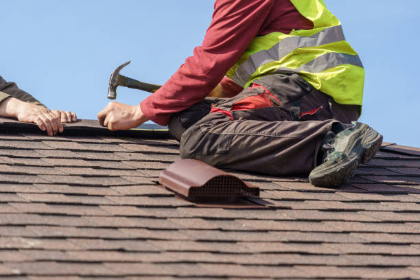 Best Roof Gutter Cleaning  in Vienna Bend, LA