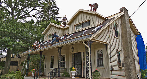 Best Roof Waterproofing Services  in Vienna Bend, LA